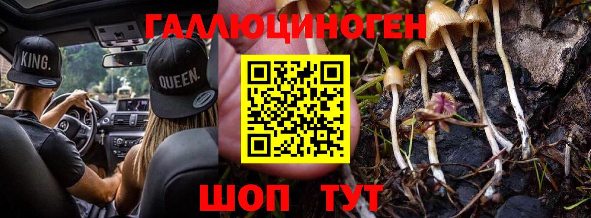 Псилоцибиновые грибы GOLDEN TEACHER Когалым
