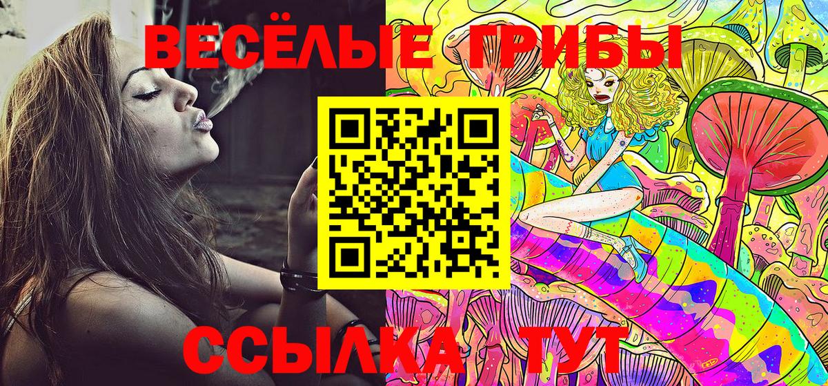 Псилоцибиновые грибы Psilocybine cubensis  Псилоцибиновые грибы Psilocybine cubensis  Когалым  Вход с VPN 